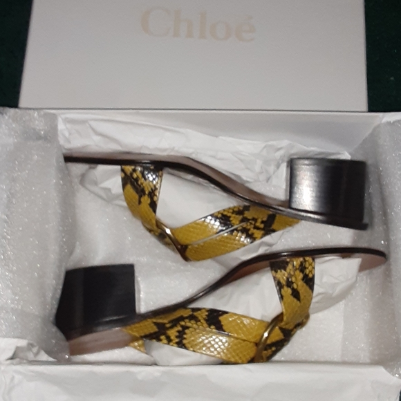 HOST PICK Chloé Sandals - Picture 4 of 6